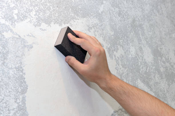 Best Real Estate Mold Inspection  in Tool, TX