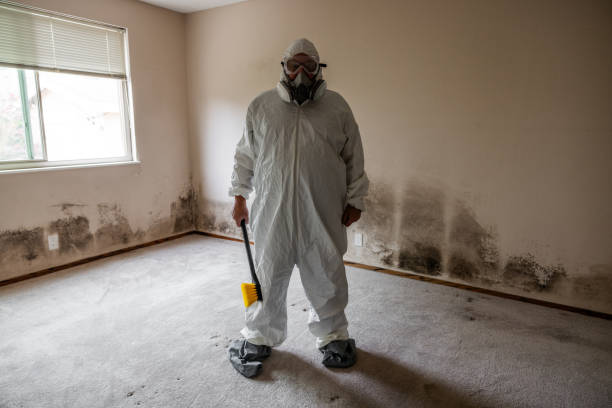 Best HVAC Mold Inspection and Cleaning  in Tool, TX